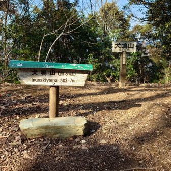 11座目とうちゃこ