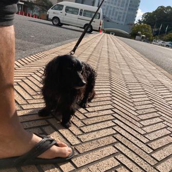 ジャックとサンダル