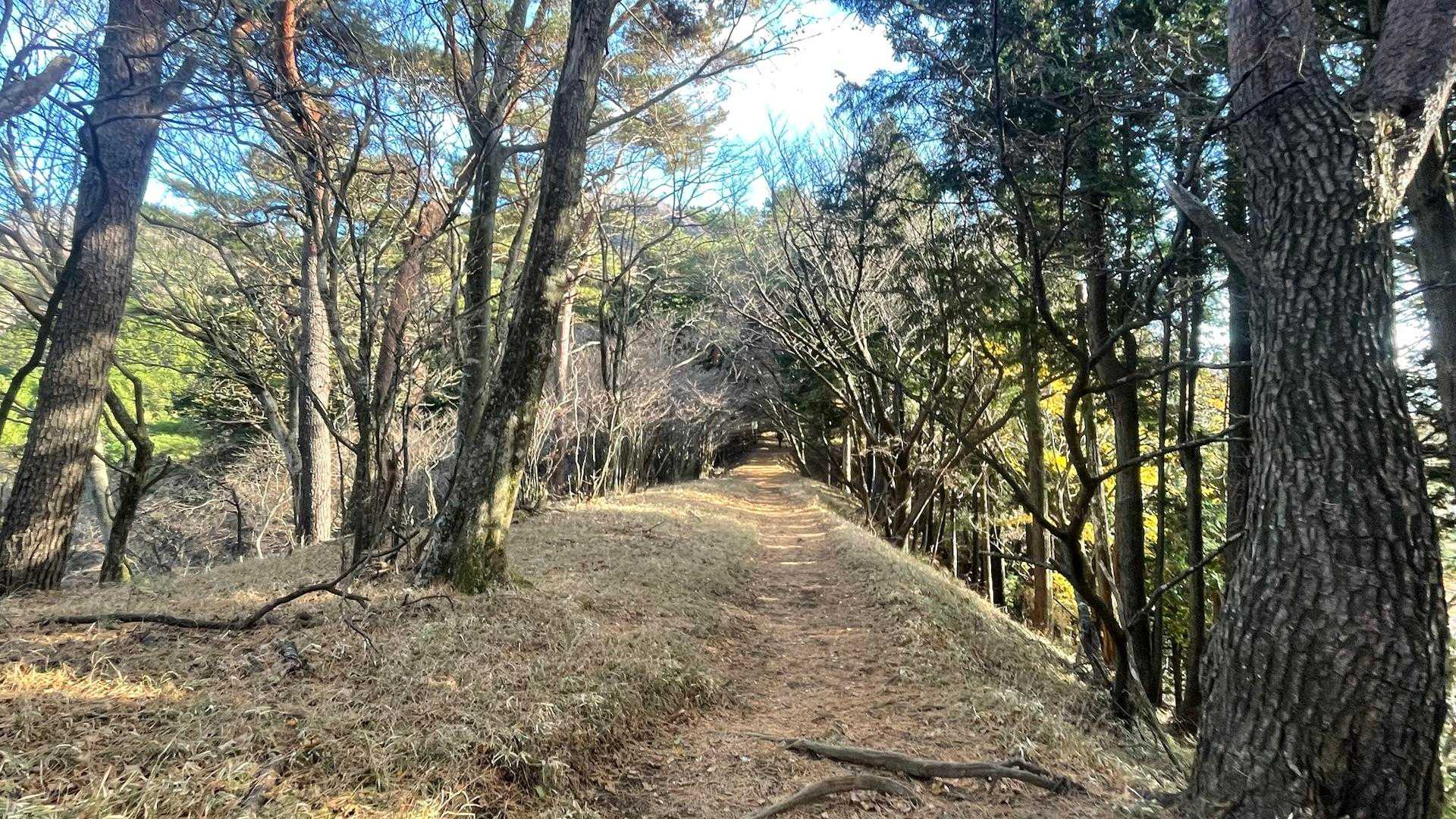 この時期は空が沢山見えて明るいです