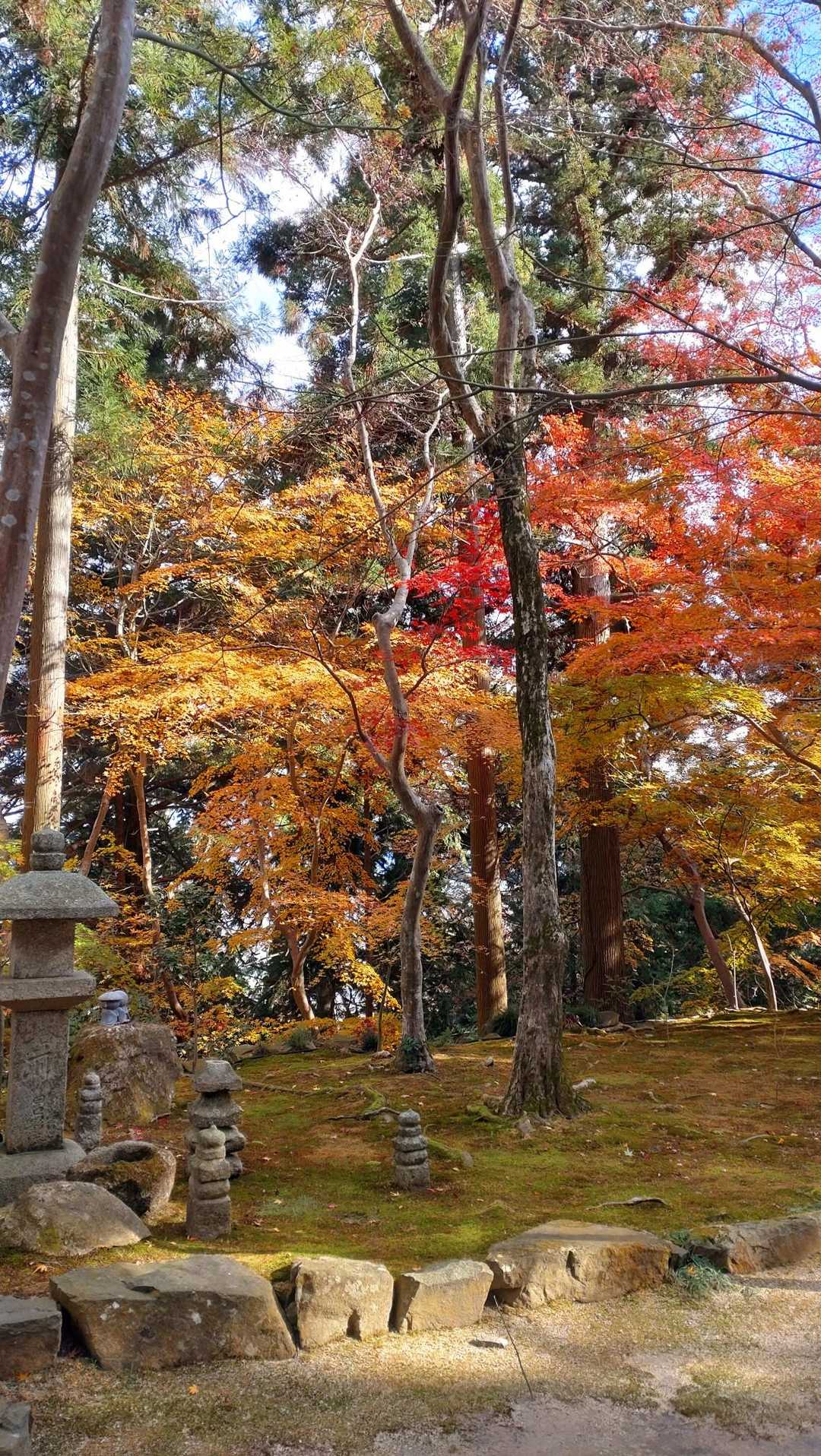 阿賀神社-太郎坊山-みつくり君休憩所-箕作山-瓦屋禅寺 往復コースの写真