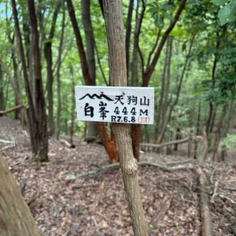 天狗岳get！あとで知ったけど、ここがパパさんの記念すべき500座✨おめでとう🎊