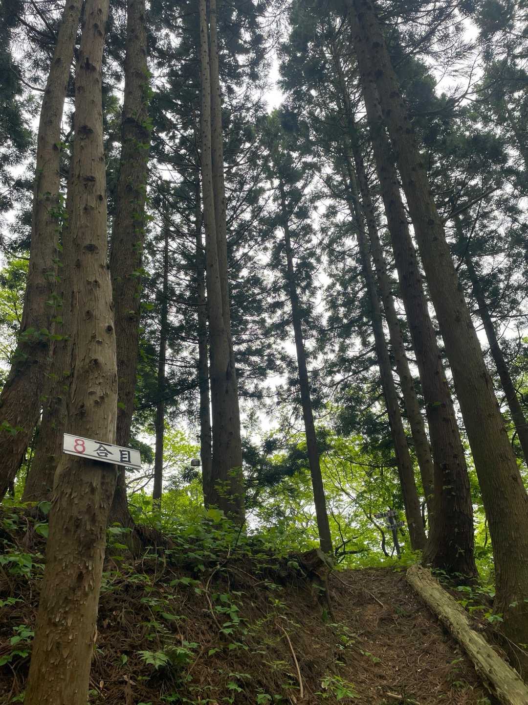 ８合目はカンカンなし🔔