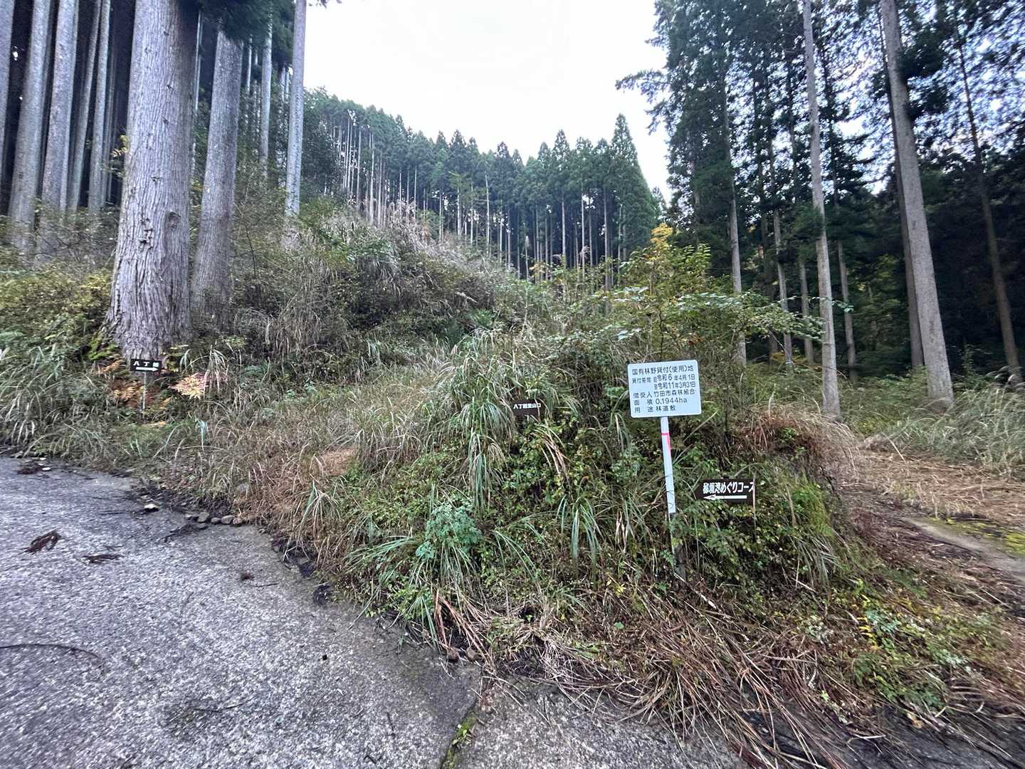 はい！
ここから登ります⤴️