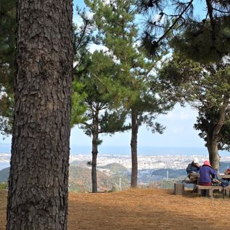 近場からの両手に華の同年代👵👴👵
他に凄いスピード(トレラン🏃？)で追い越された若い🧔‍♂️さんが涼しい顔で読書中。羨ましい（笑）