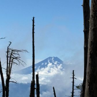 富士山！