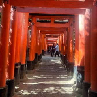 千本鳥居⛩️