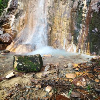 滝壺も水と温泉が混ざって温かった。
掘れば入れそうだった