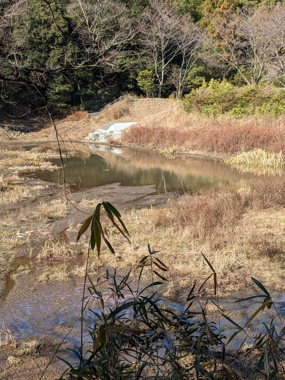 ほんの少しの水