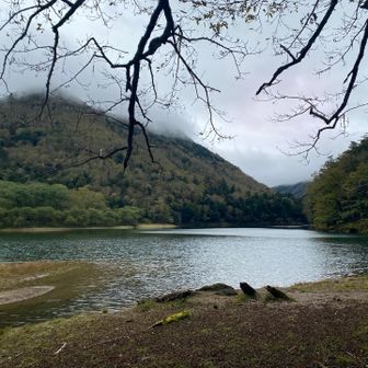 静かに佇む刈込湖に到着
霧に包まれた山が幻想的