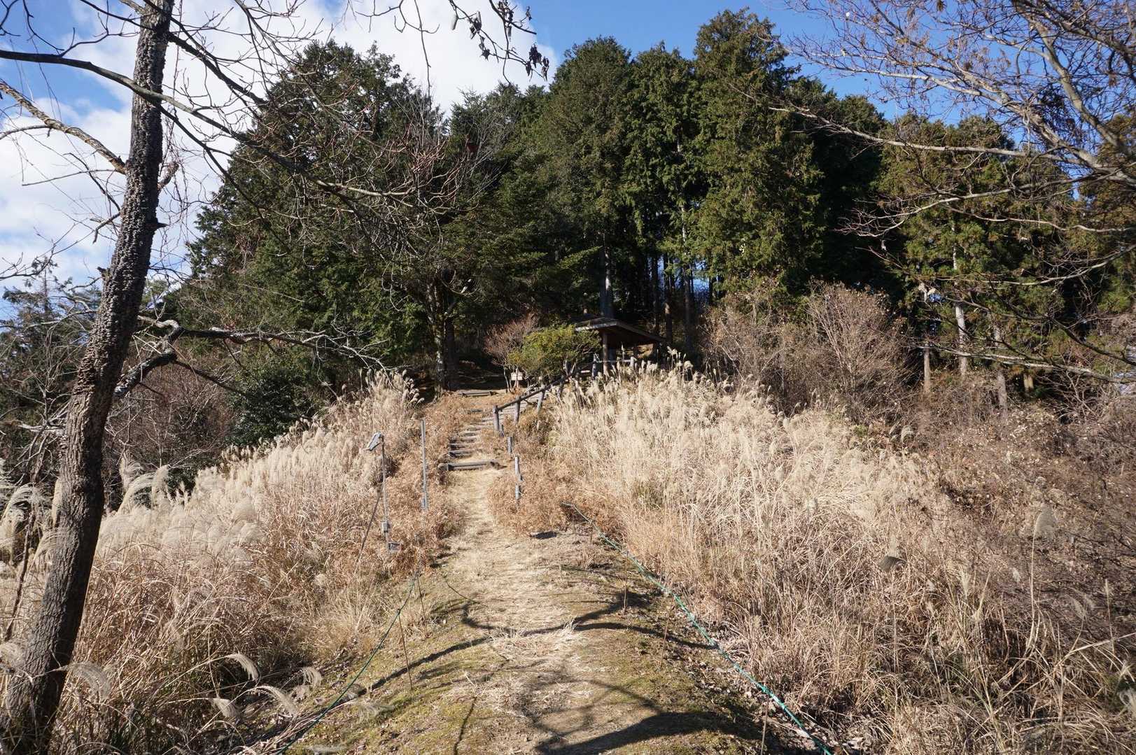 ココからは快適な尾根歩き
