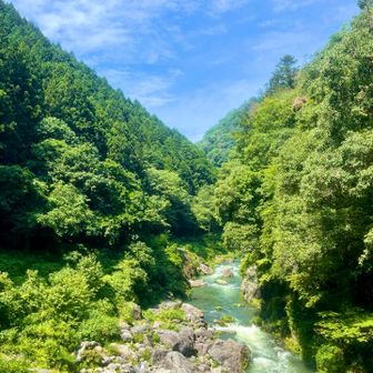 キレイな川です✨