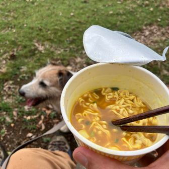 お約束の