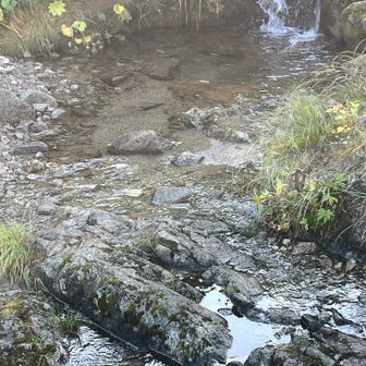 渡渉2
水場