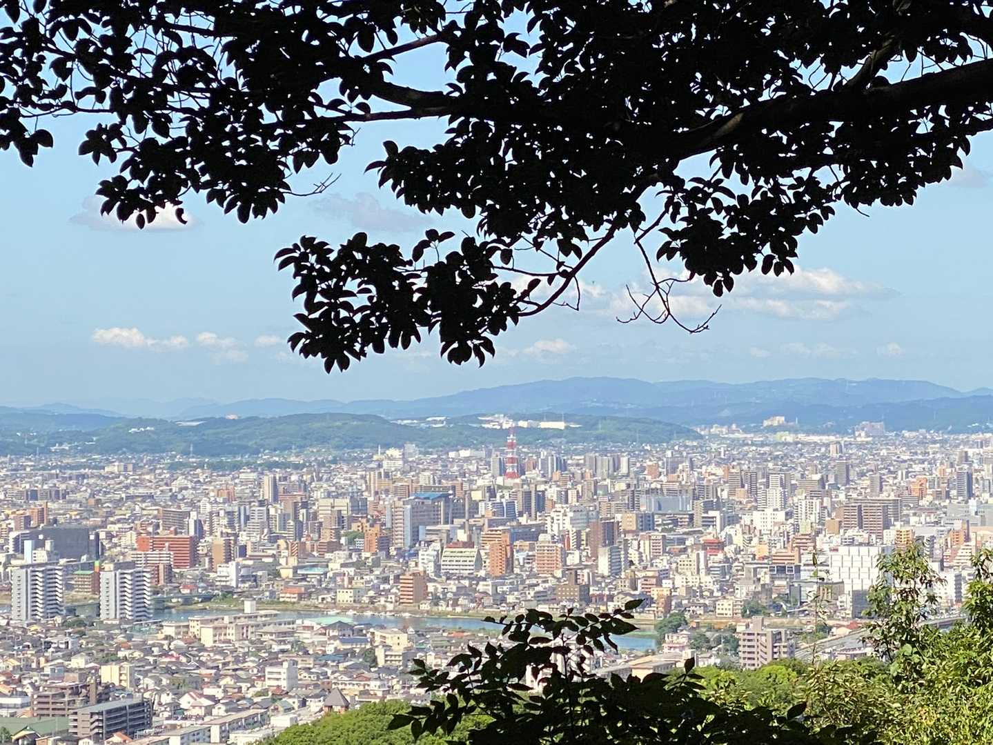 今日はお天気が良く　天文台が見えました😆
