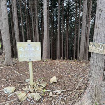 砥山⛰️

この前、大菩薩の所でも、砥山あったな😆