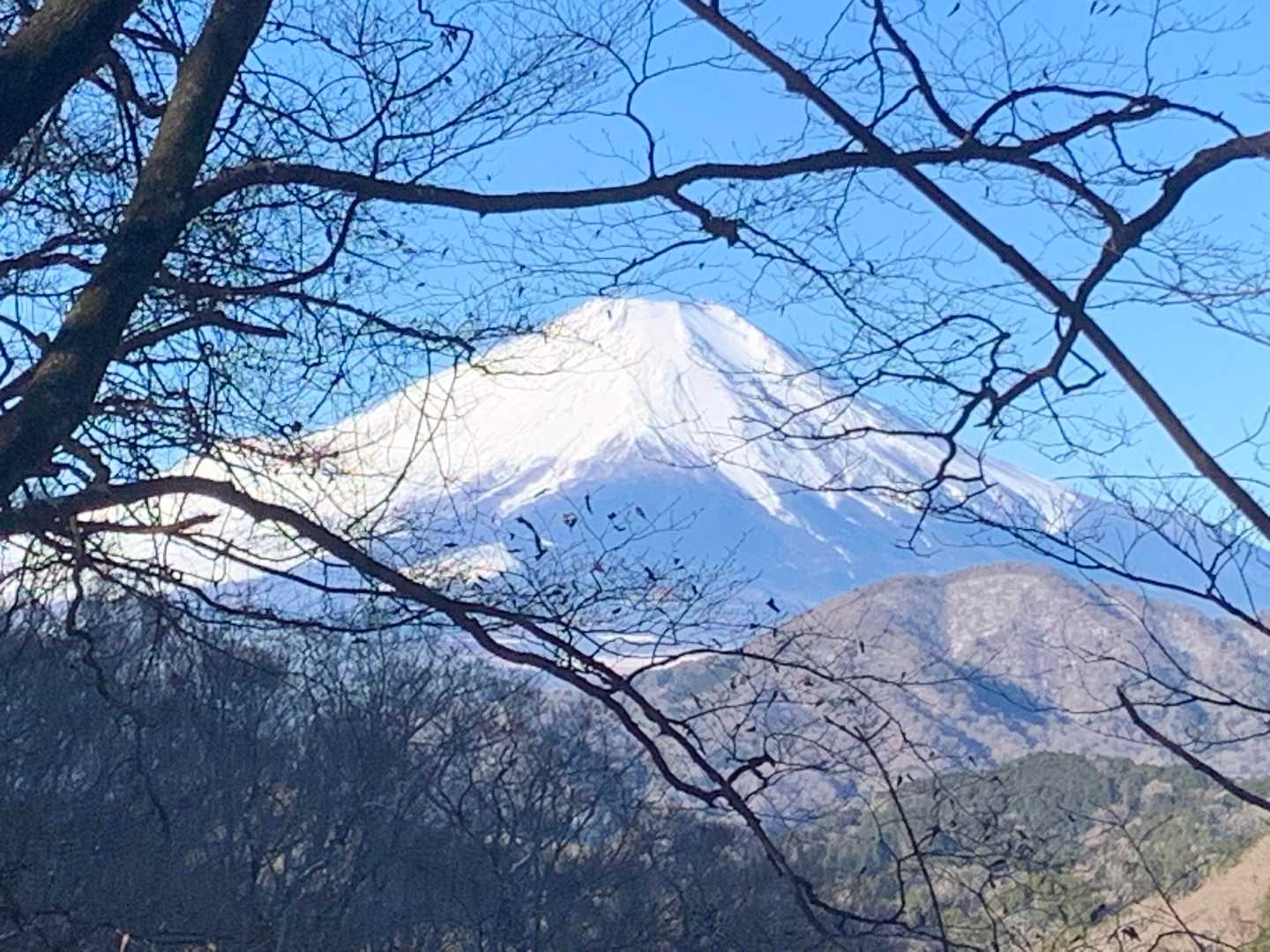 富士山です