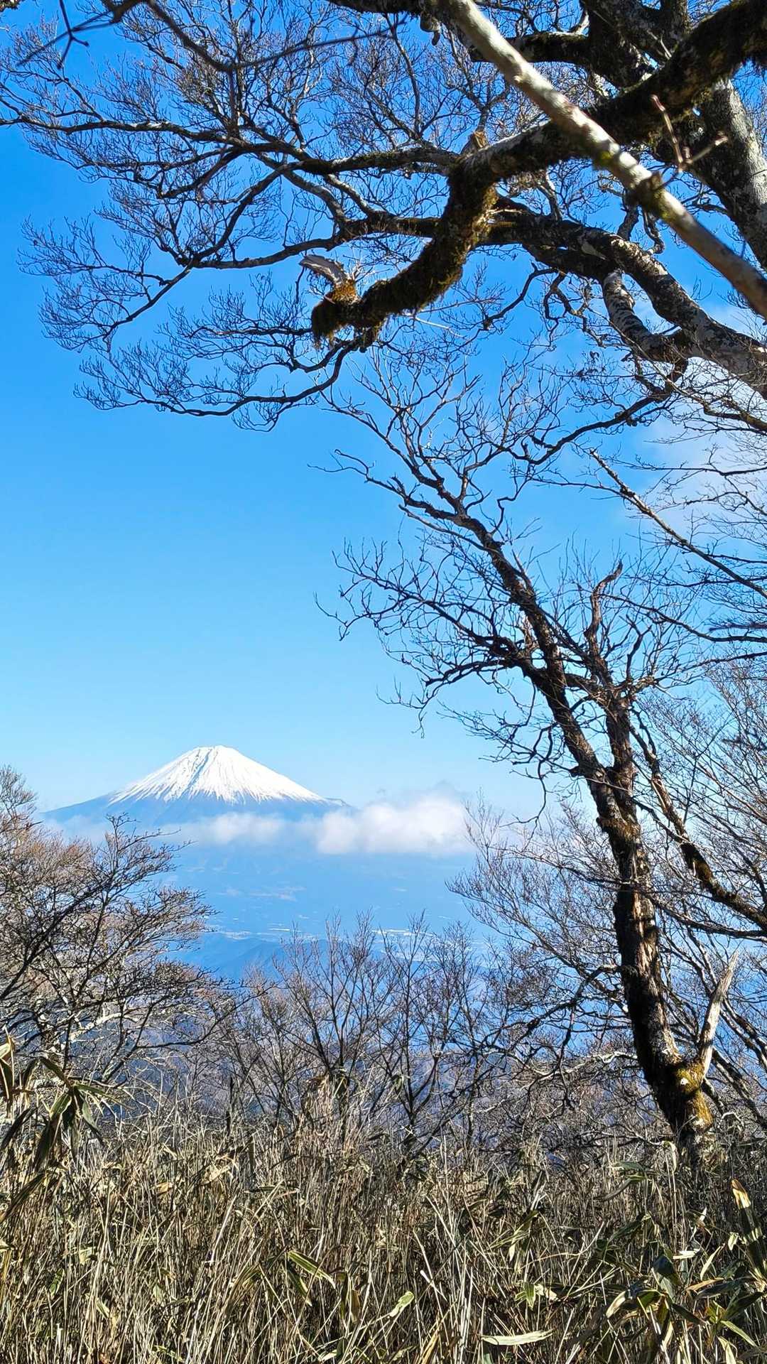 地蔵峠入口-仏谷山-細島峠-うつろぎ山 往復コースの写真