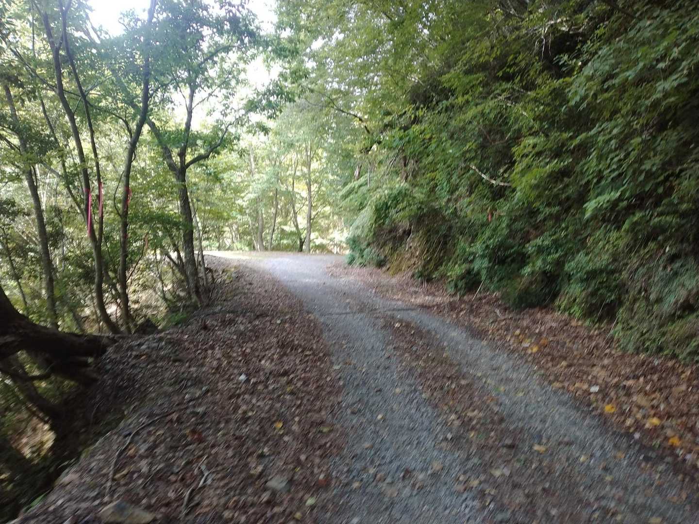 けやき峠 往復コースの写真