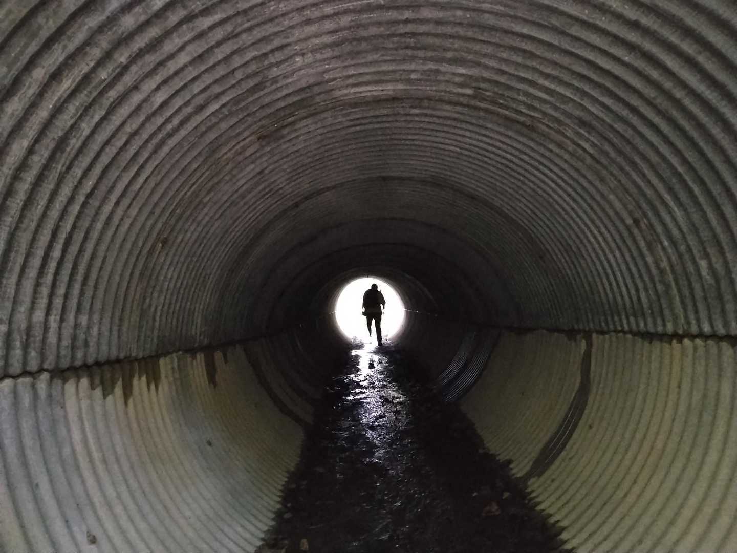 瀞台往復 | 馬追自然の森遊歩道を歩く静かな散策コースの写真