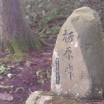 まだ1時間ほど進めそうなので行ってみよう