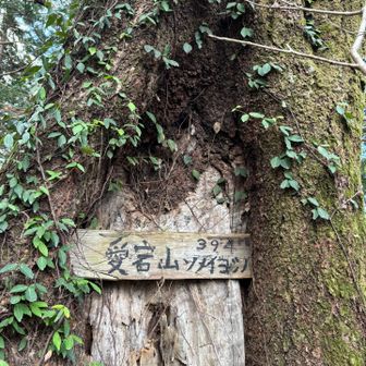 天狗岩を過ぎると愛宕山⛰️