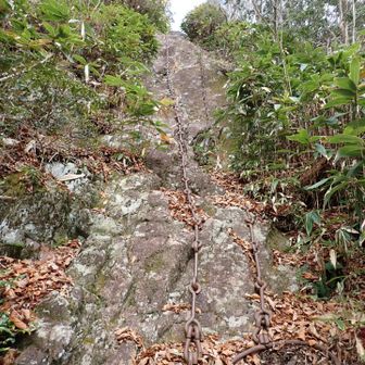 降って見上げて。