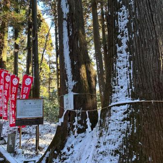 今年もパワー貰いに来ます🫡