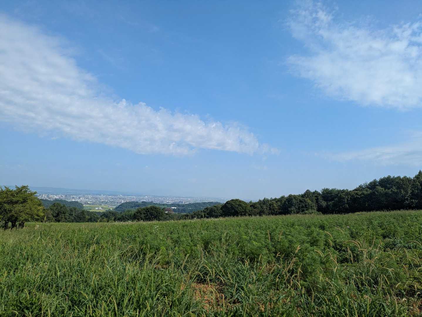 暑くなりそう