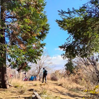 草戸山山頂手前