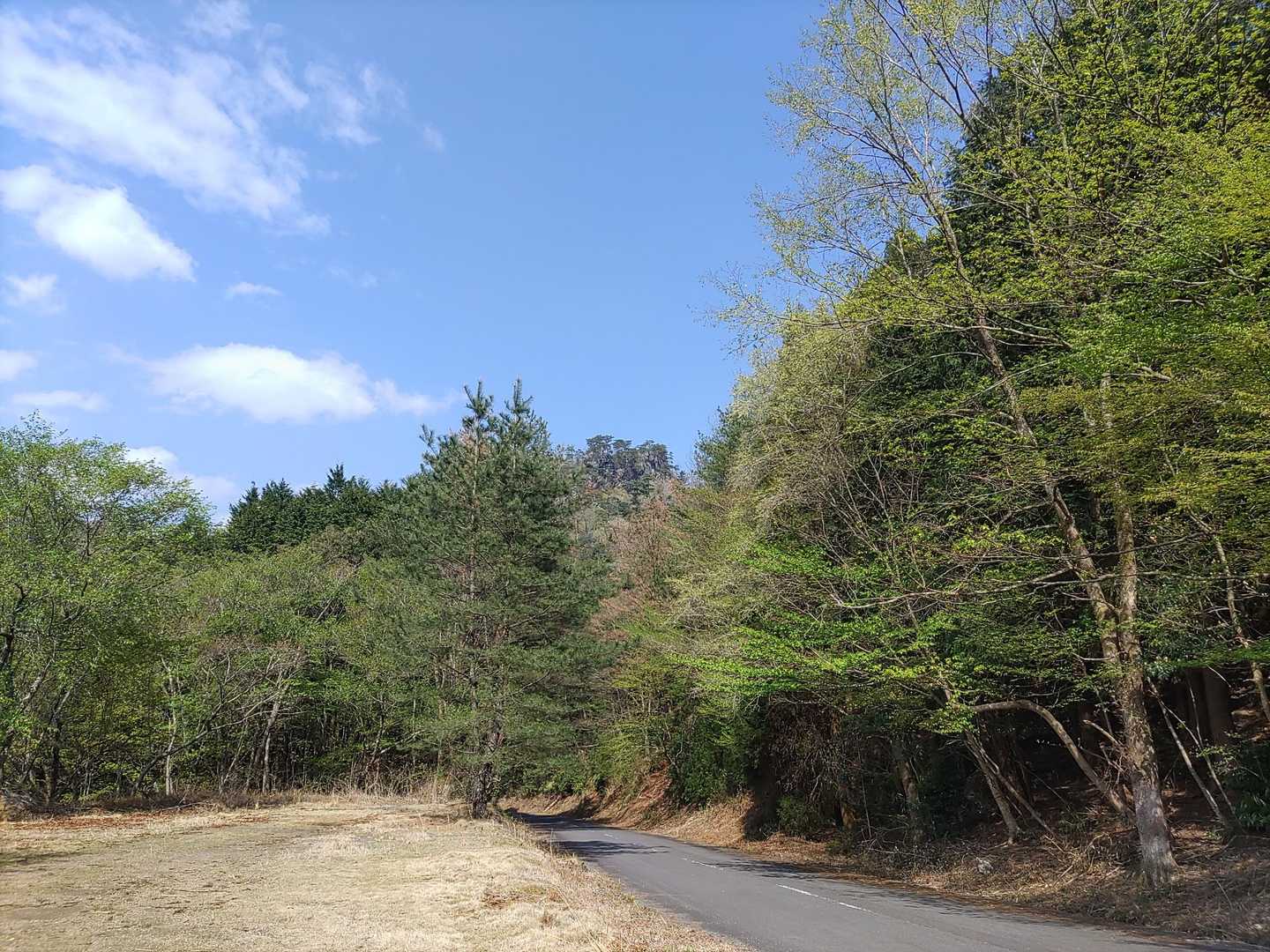 駐車場から鷹巣岳が見えます😲