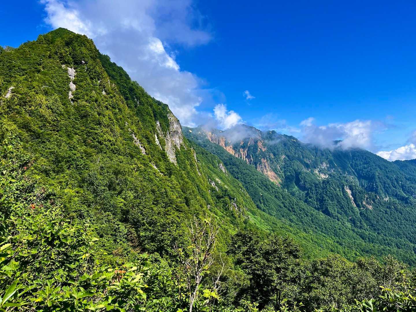 ムジナ平登山口-白嵓ノ頭-鳥甲山 往復コースの写真