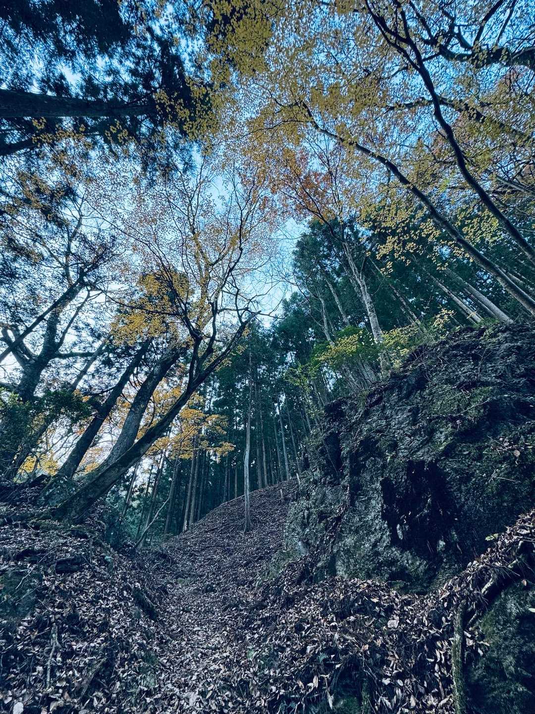 芦ヶ久保駅-二子山-焼山-蔦岩山-武川岳-伊豆ヶ岳登山口- 縦走コースの写真