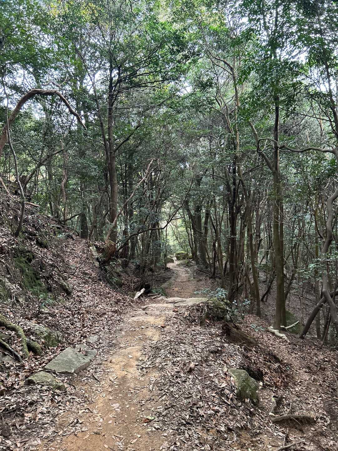 階段地獄も終了