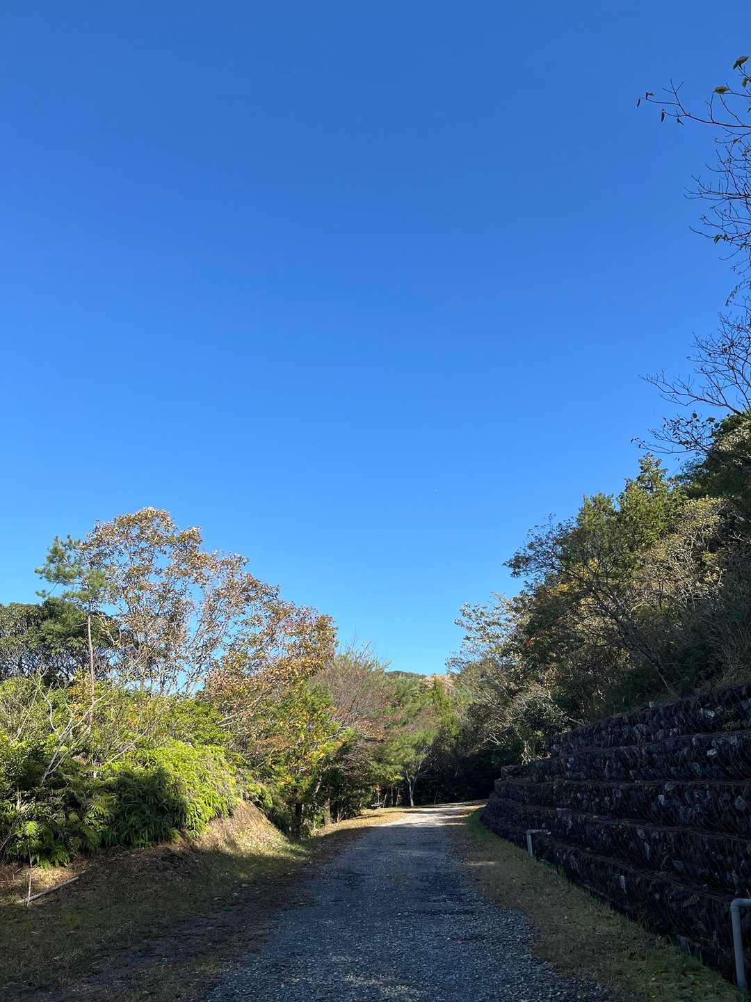 ☀️
雨上がりで風は強めだけど歩くと汗ばむ
