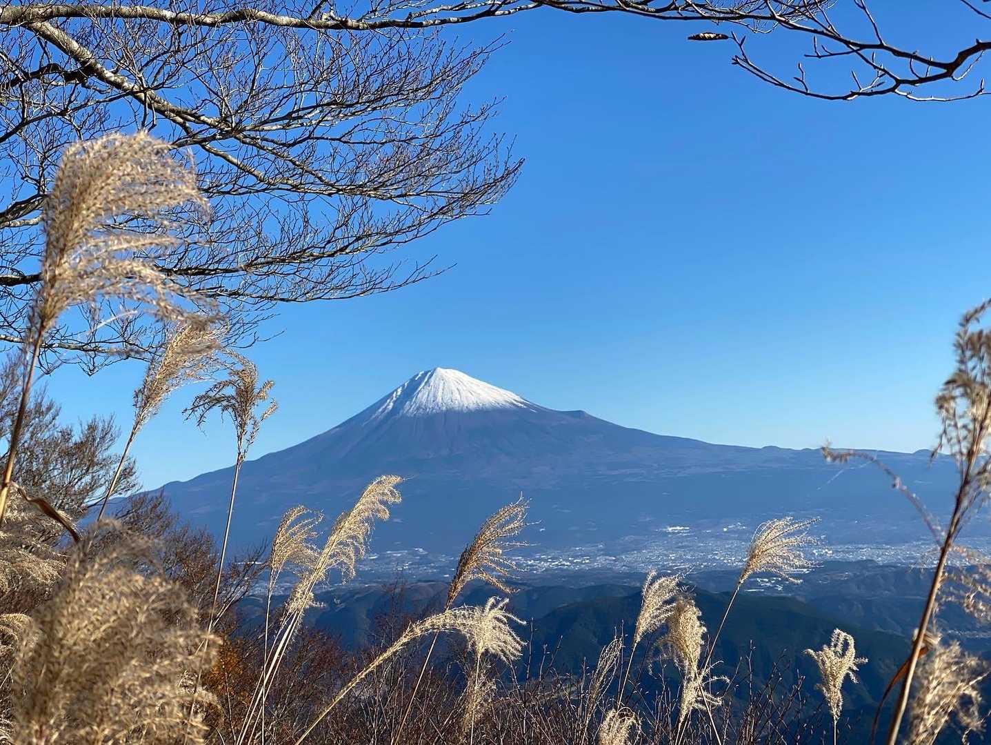 南西から見る富士山も本当に綺麗✨