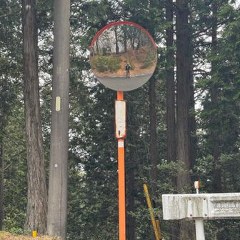 イᰌᯇᯇᯇイ!!!(ﾉ˶>ᗜ​<˵)ﾉ