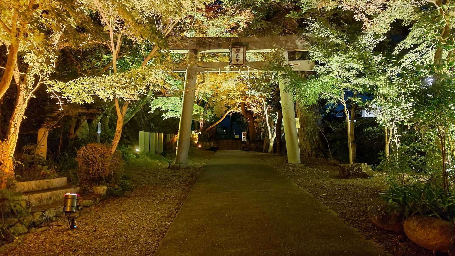 滝道のライトアップ時期は人も多くて夜でも怖くなかったです♪
ただ、登山の格好をしている人は殆どいませんでした😂
仲良さ気なカップルウォッチを愉しませていただきました🎶

今日もありがとうございました♪