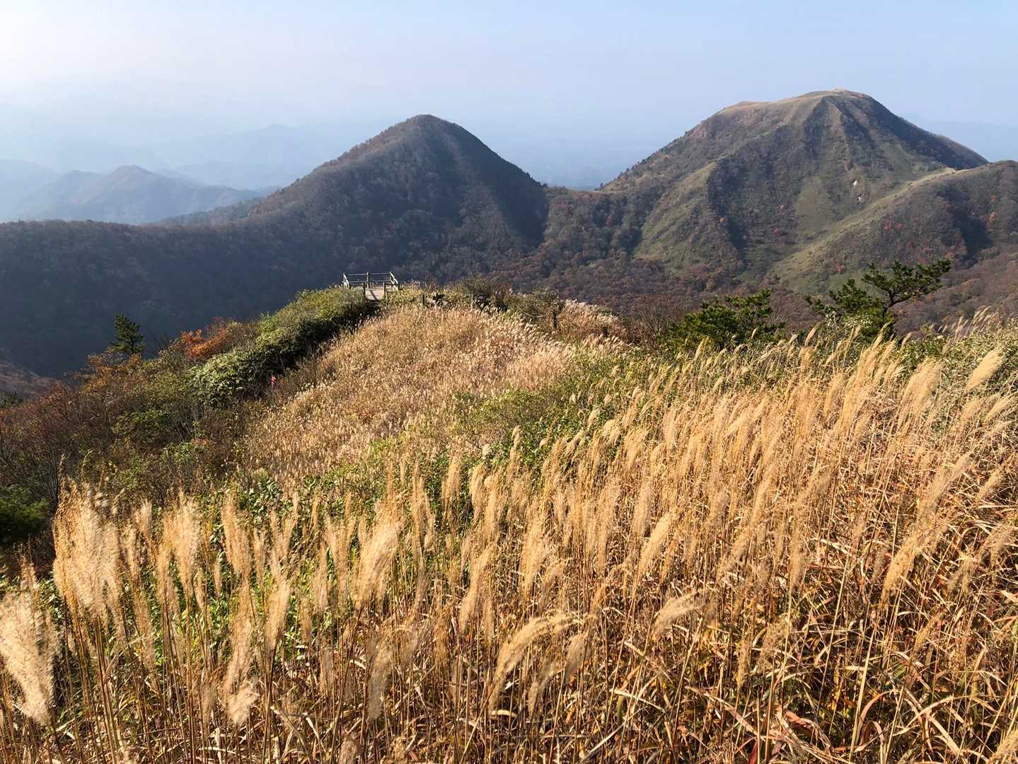 東の原登山口-女三瓶山 往復コースの写真