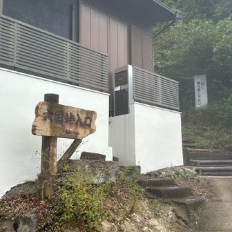 ここからスタート