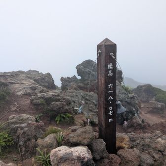 展望はいっさい無し