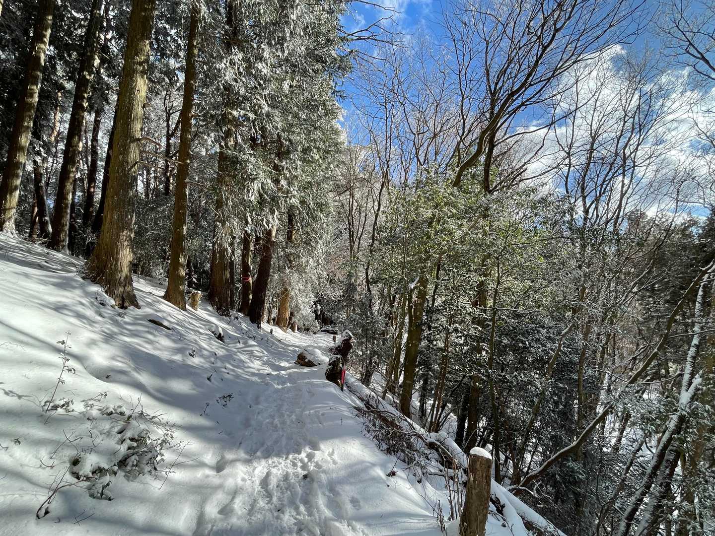 伊勢神峠に向けて下山中。下りてきたら晴れてきた（あるある😞）