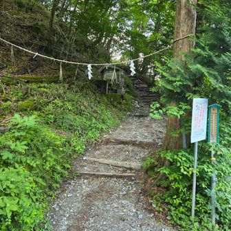 登山道があるよー