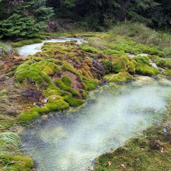 唐沢鉱泉
冷たくて、きれい