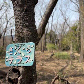山頂へ行く前に寄り道
桜咲いたら綺麗だろうな

ここでお昼休憩🍙