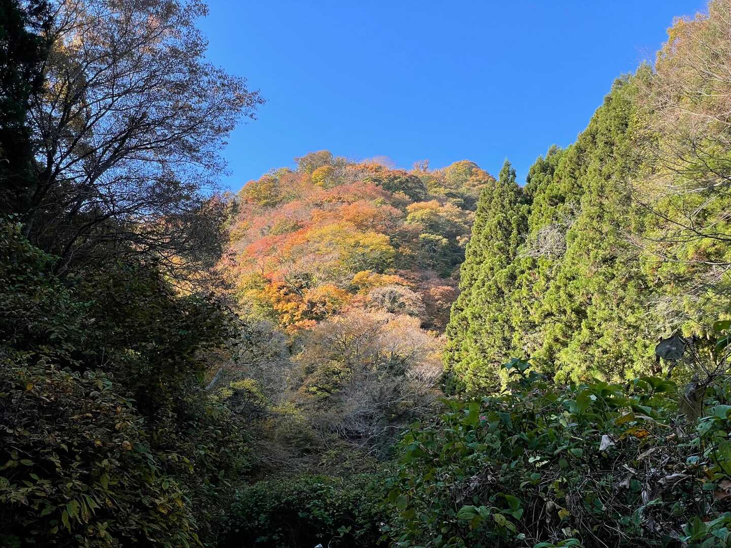 鹿狼山の写真