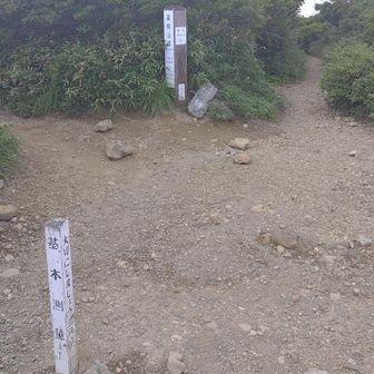 西側の産沼コースをくだります。