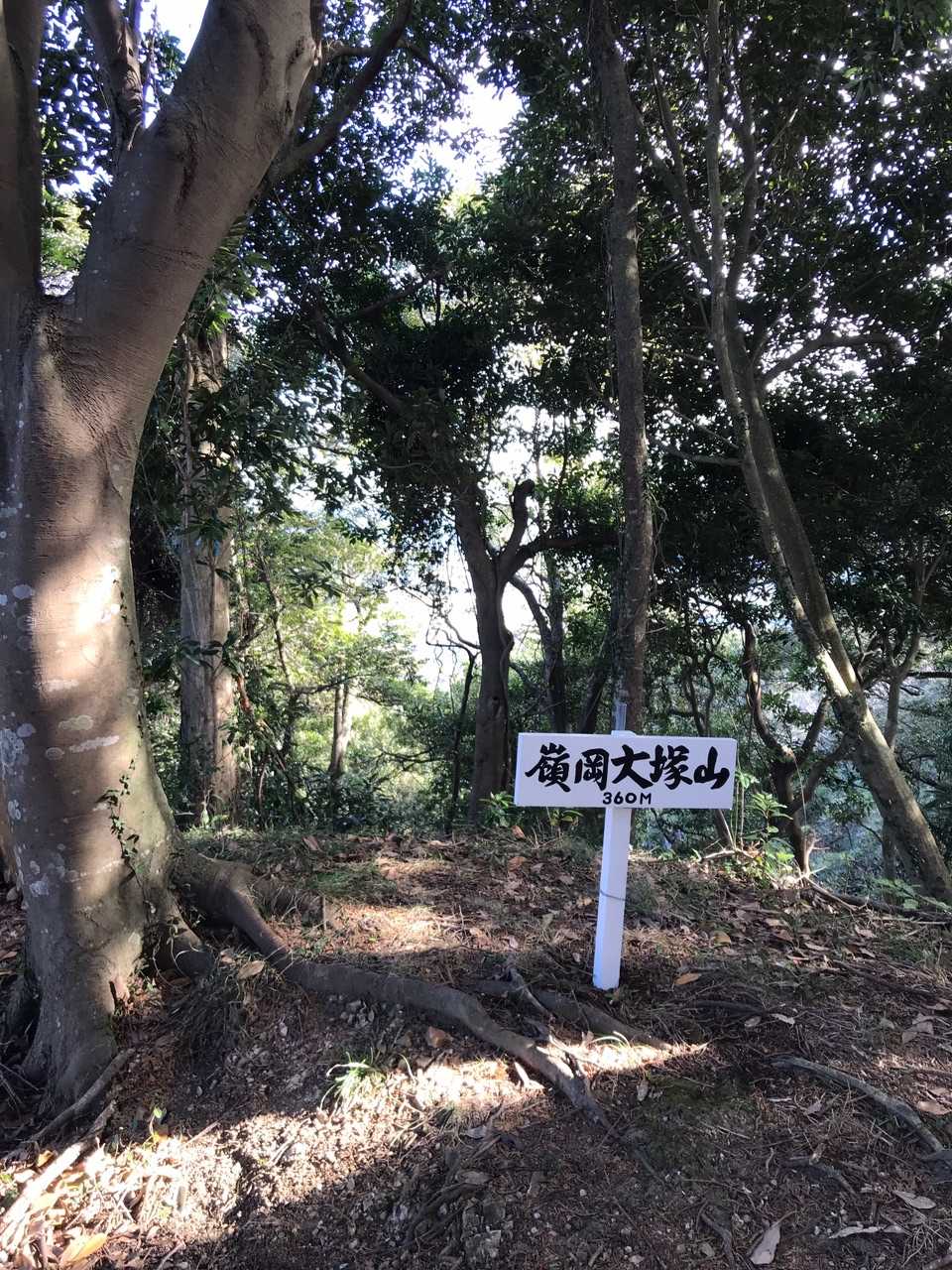 嶺岡大塚山の写真