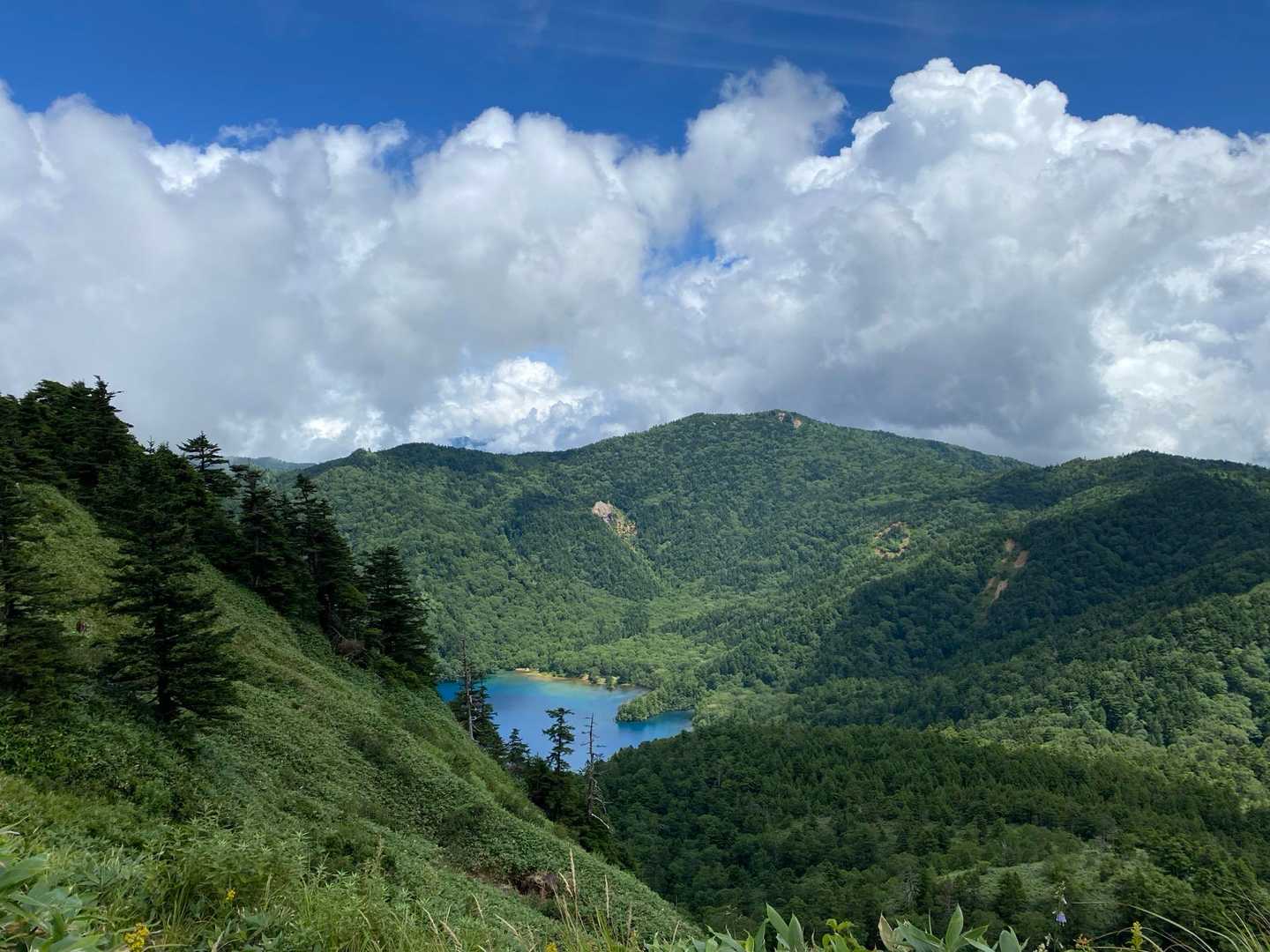 裏志賀山-志賀山神社-鉢山 周回コースの写真