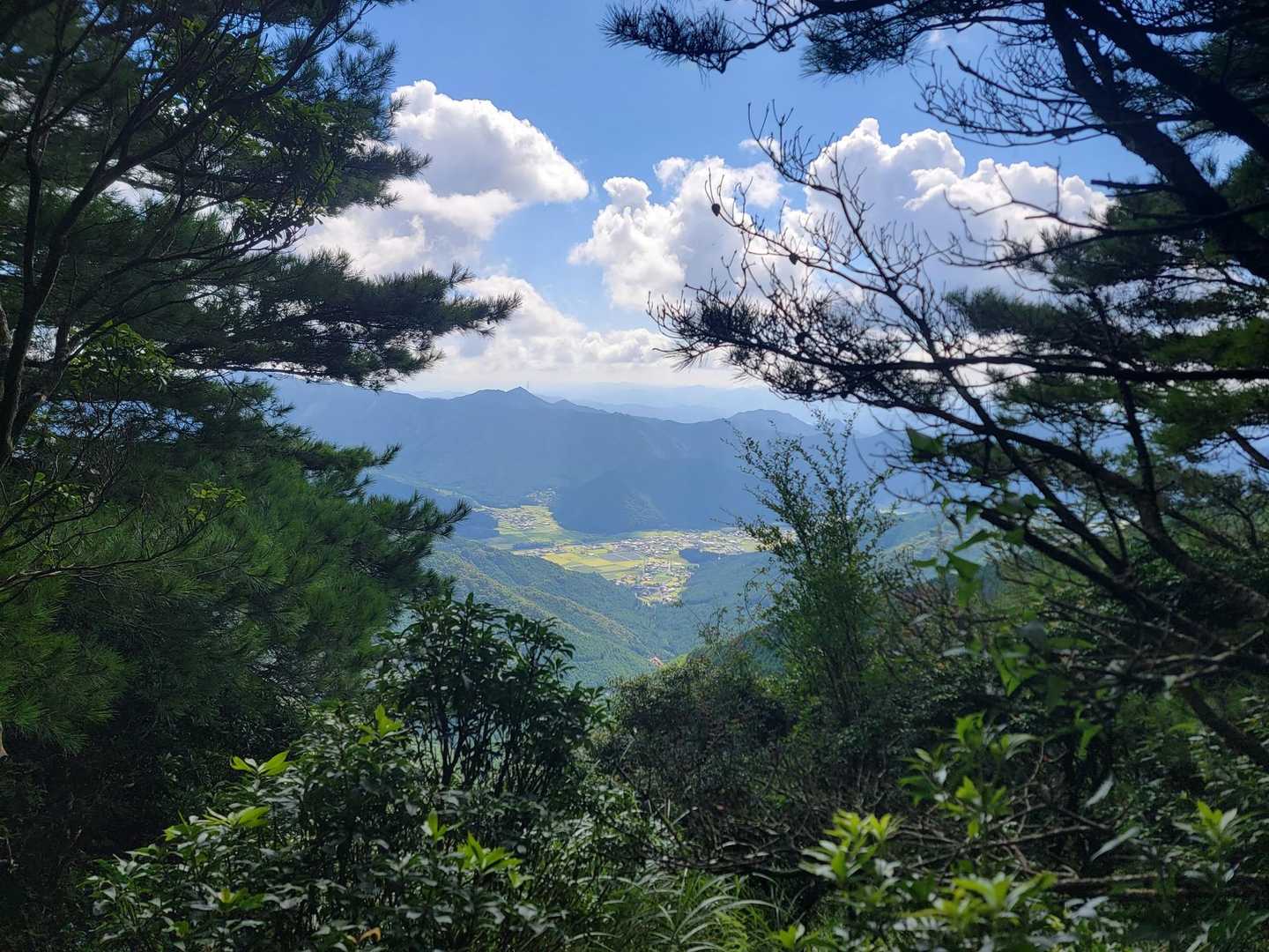 市原峠-千ヶ峰 往復コースの写真