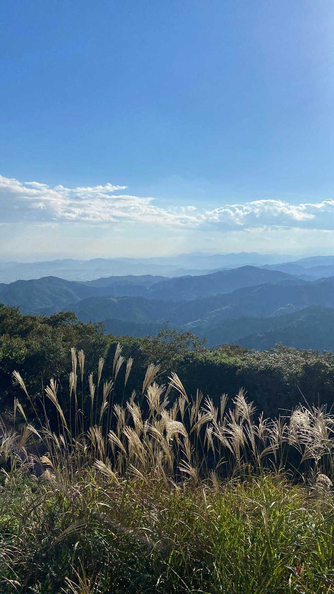 甫喜ケ峰 周回コースの写真